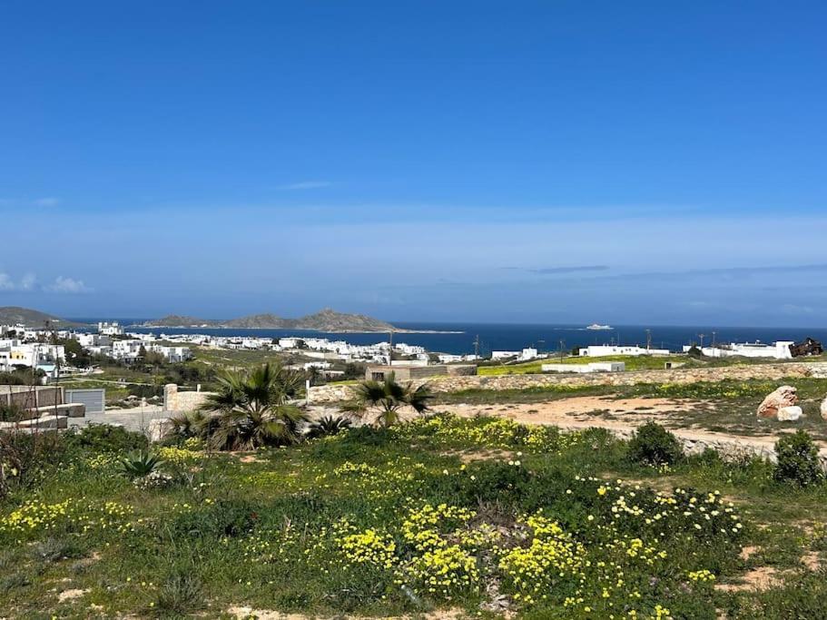 Aretousa Residence In Naoussa, Paros Exterior photo